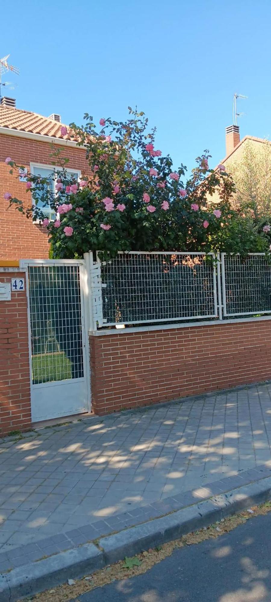 Villa Lendi Rivas-Vaciamadrid Exteriör bild